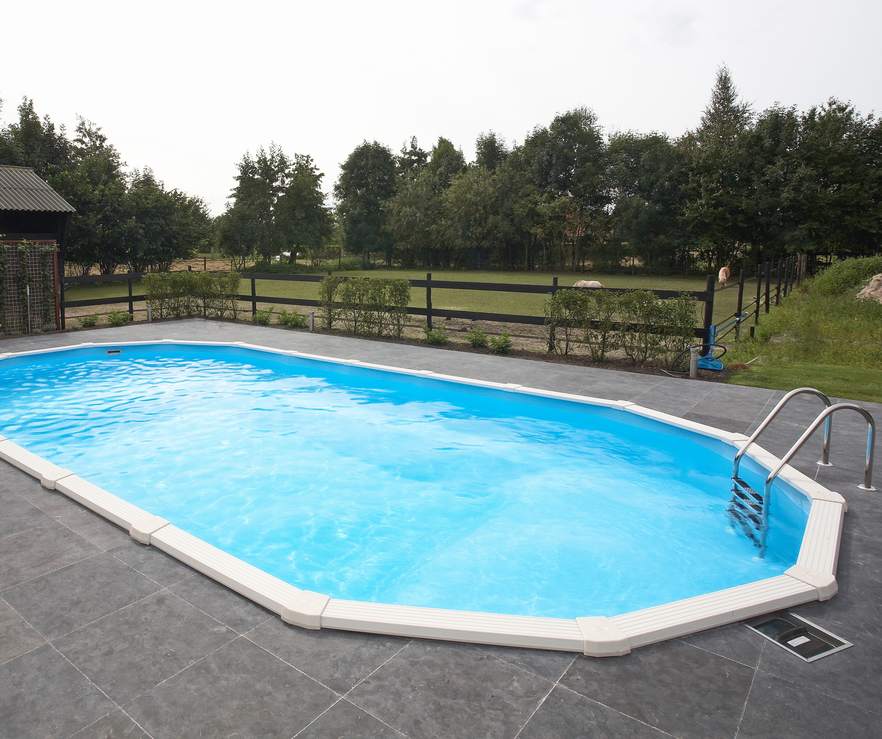 Persoonlijk advies in de showroom